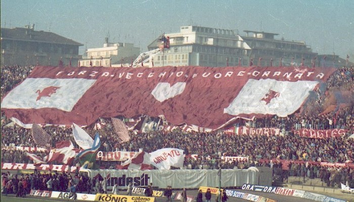 Tifosi Torino in curva